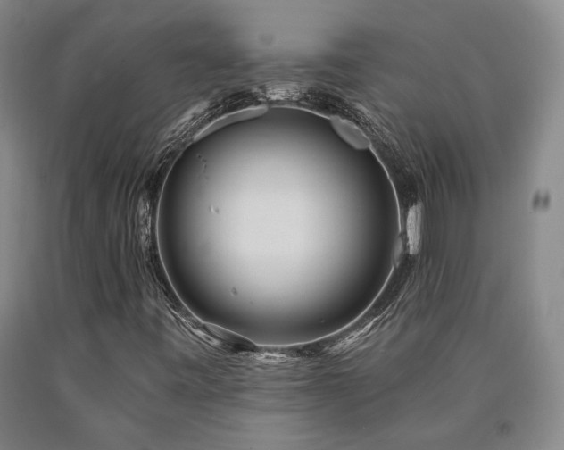 X0000090931443200707301544