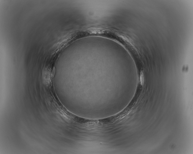 X0000090931444200707301544