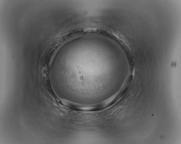 X0000090931445200707301544
