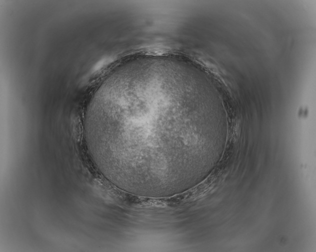 X0000090931446200707301544