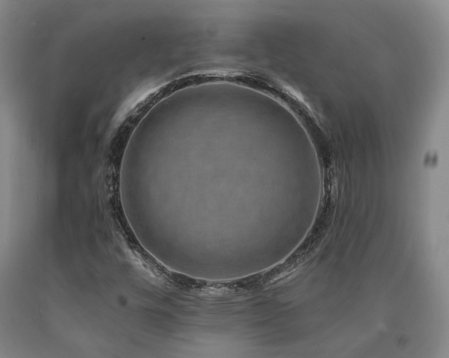 X0000090931448200707301544