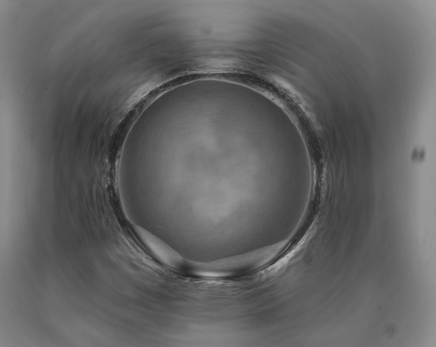 X0000090931449200707301544