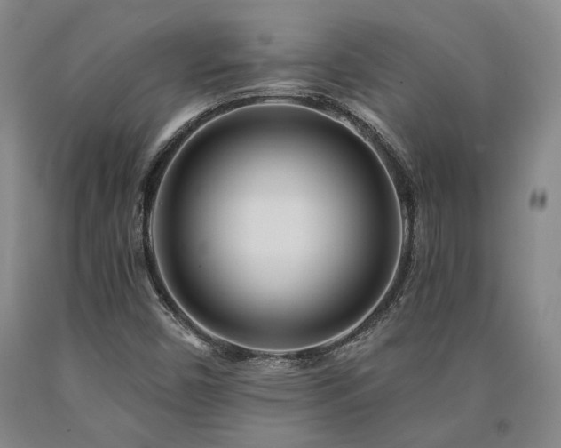 X0000090931450200707301544