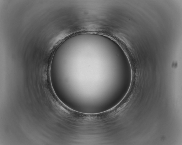 X0000090931451200707301544