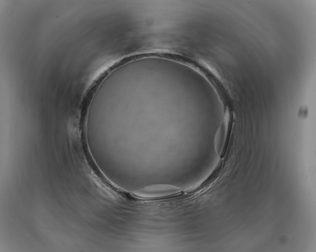 X0000090931452200707301544