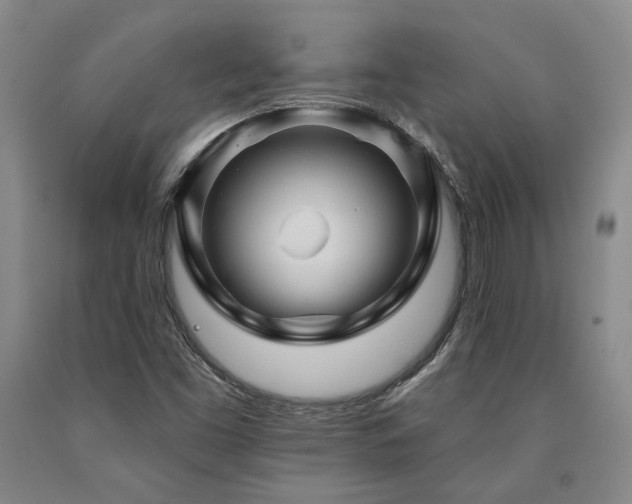 X0000090931453200707301544