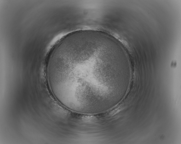 X0000090931454200707301544