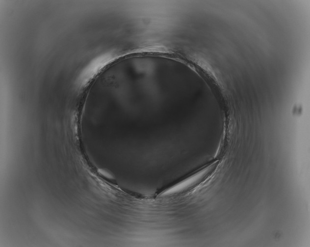 X0000090931455200707301544