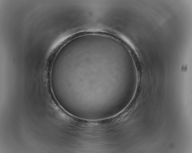 X0000090931456200707301544