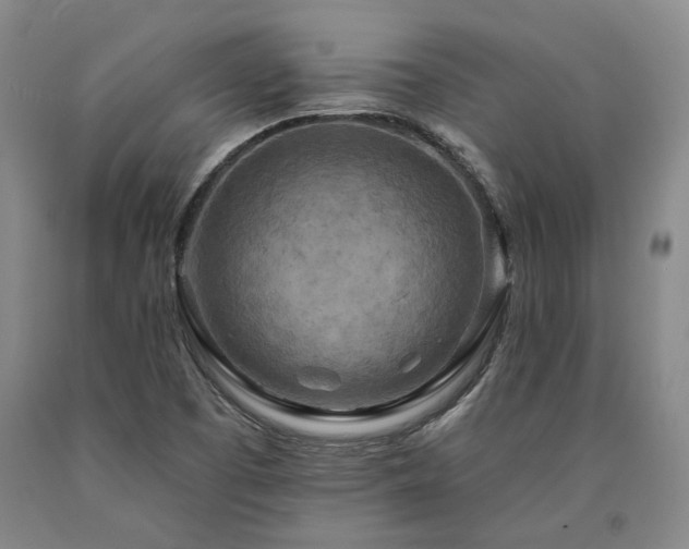 X0000090931457200707301544