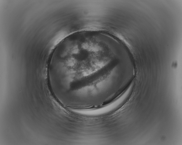 X0000090931459200707301544