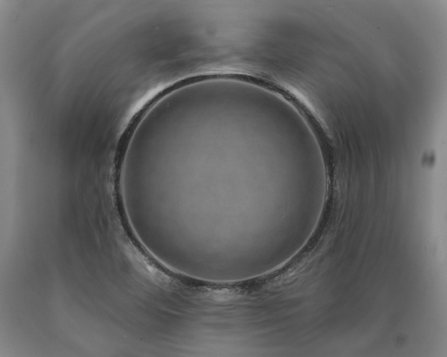 X0000090931460200707301544