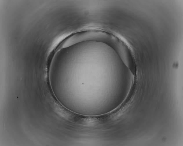 X0000090931461200707301544