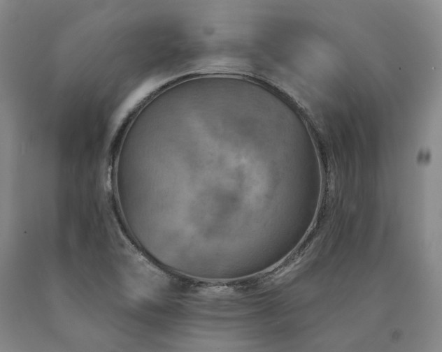 X0000090931462200707301544