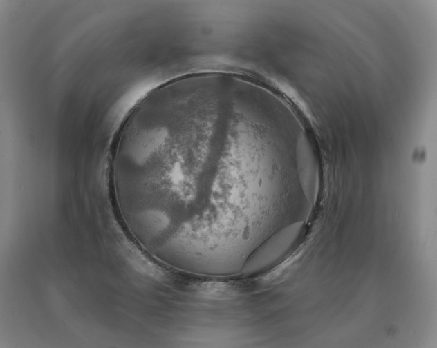 X0000090931463200707301544