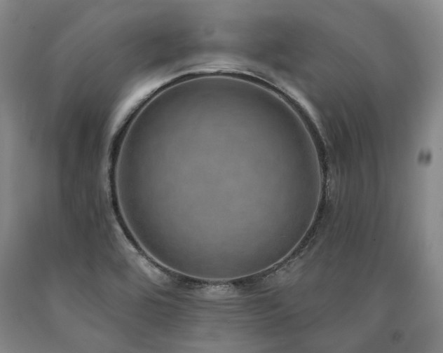 X0000090931464200707301544