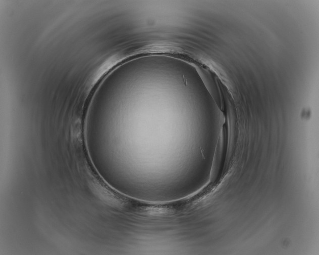 X0000090931465200707301544