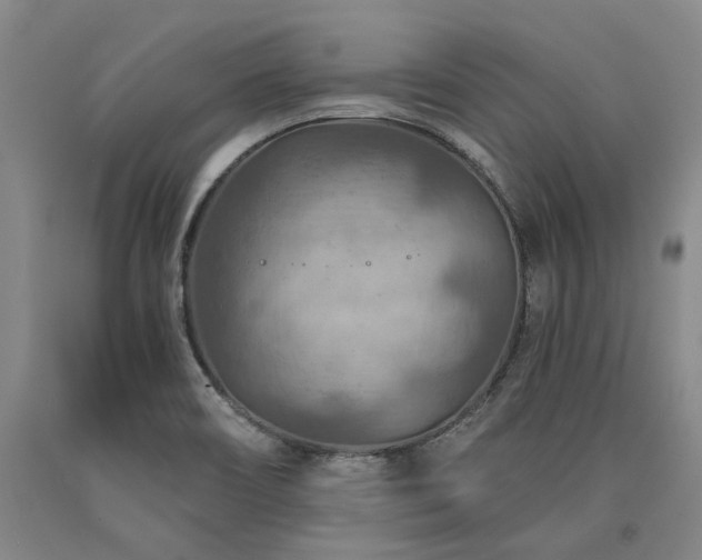 X0000090931466200707301543
