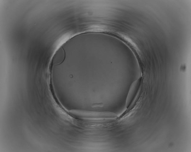 X0000090931467200707301543