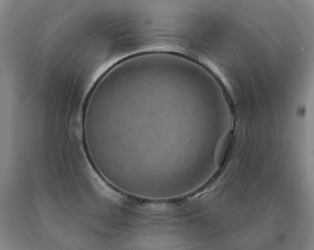 X0000090931468200707301543