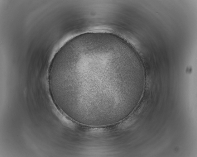 X0000090931470200707301543