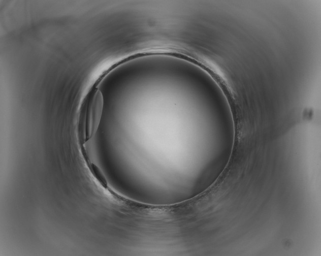 X0000090931472200707301543