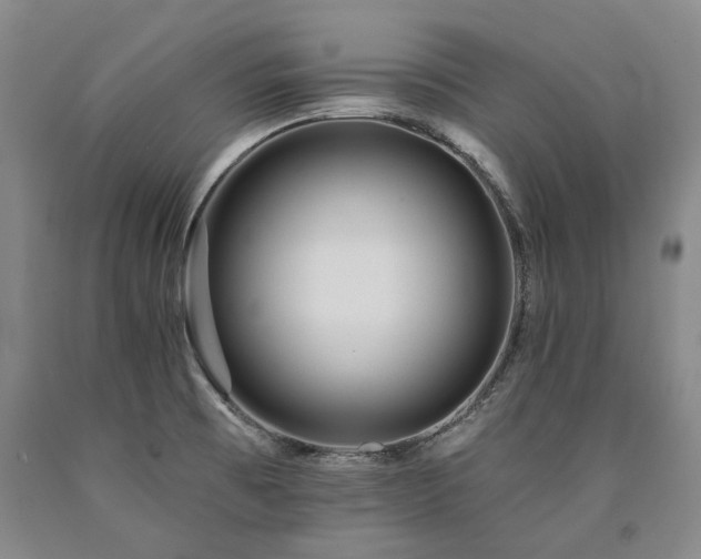 X0000090931473200707301543