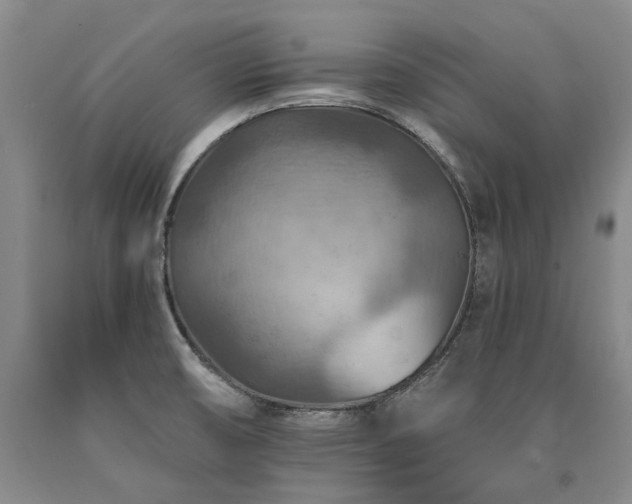 X0000090931474200707301543