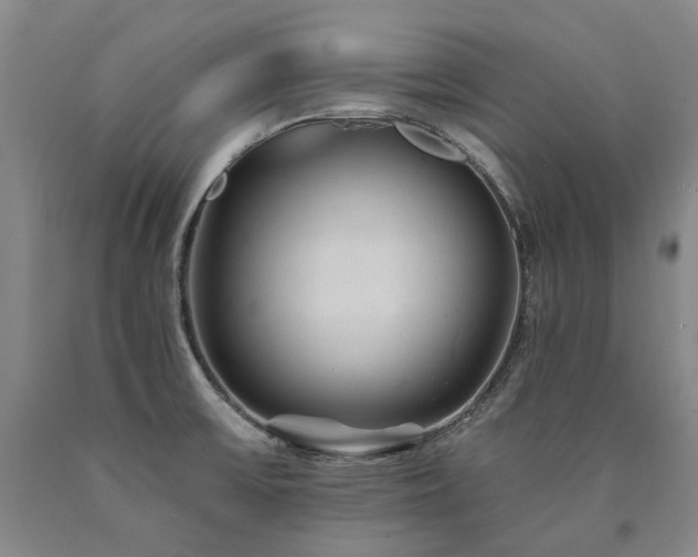X0000090931475200707301543