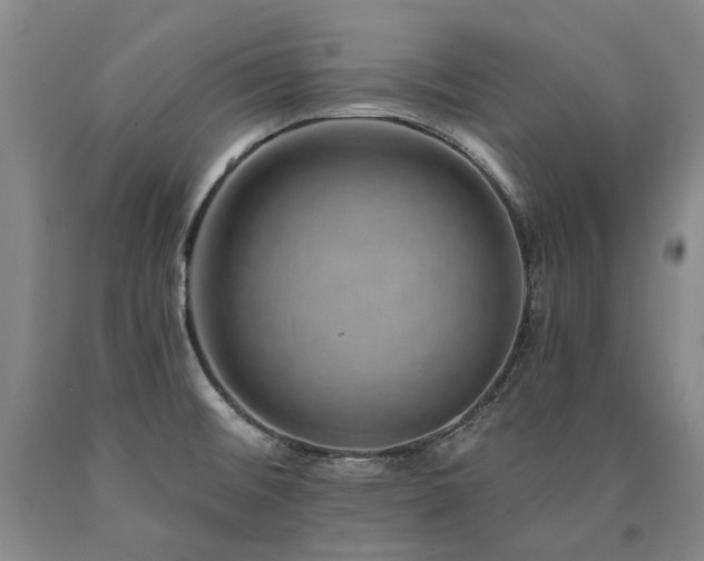X0000090931476200707301543