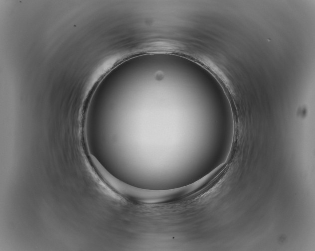 X0000090931477200707301543