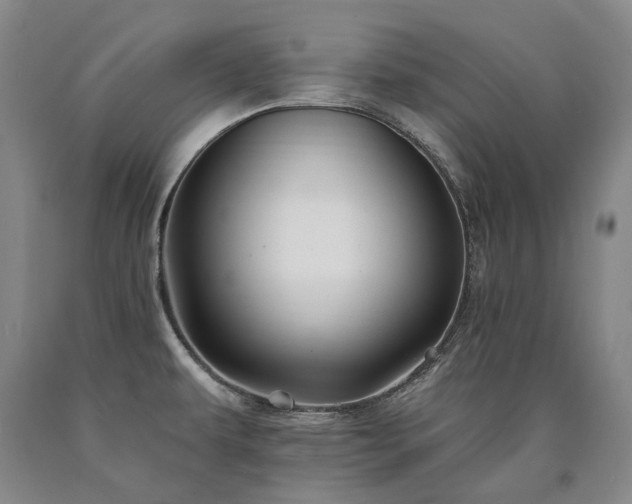 X0000090931479200707301543