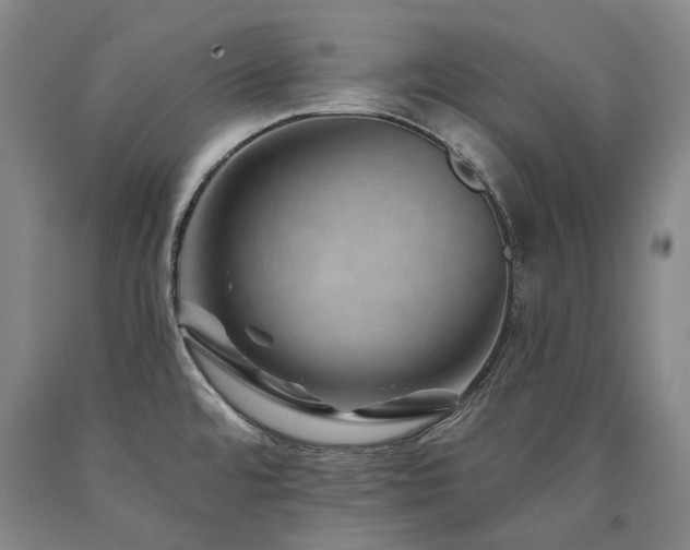 X0000090931480200707301543