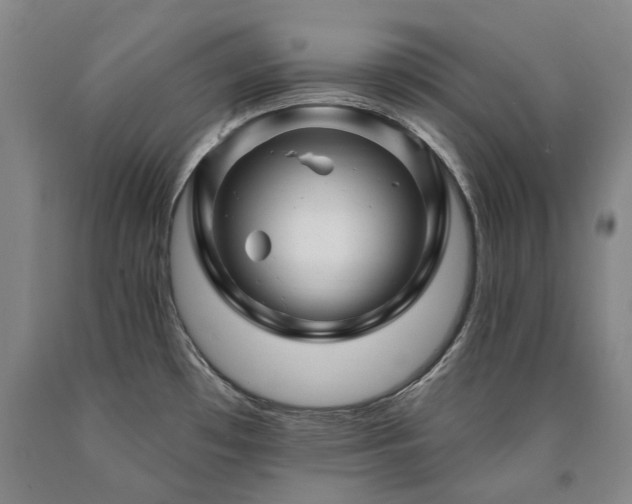 X0000090931481200707301543