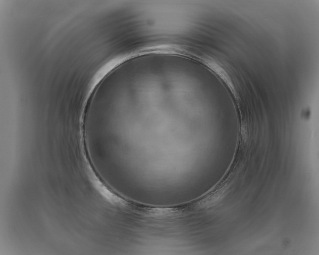 X0000090931482200707301543