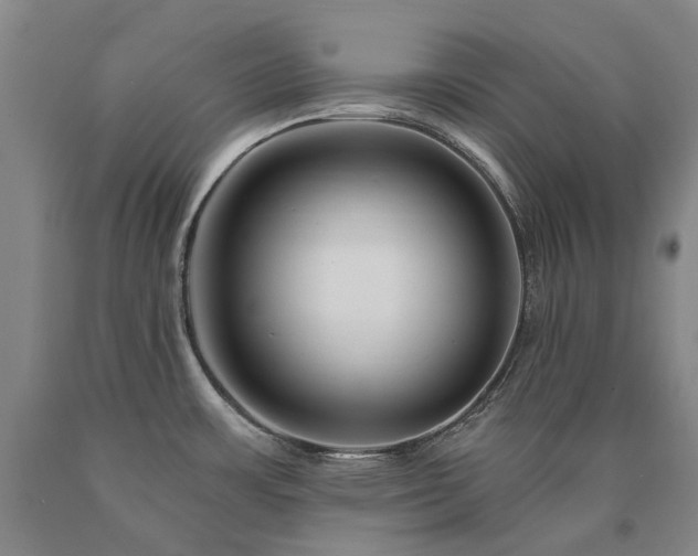 X0000090931483200707301543