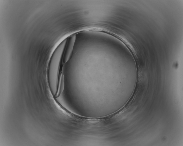 X0000090931484200707301543