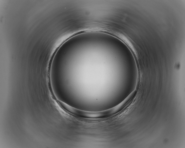 X0000090931485200707301543