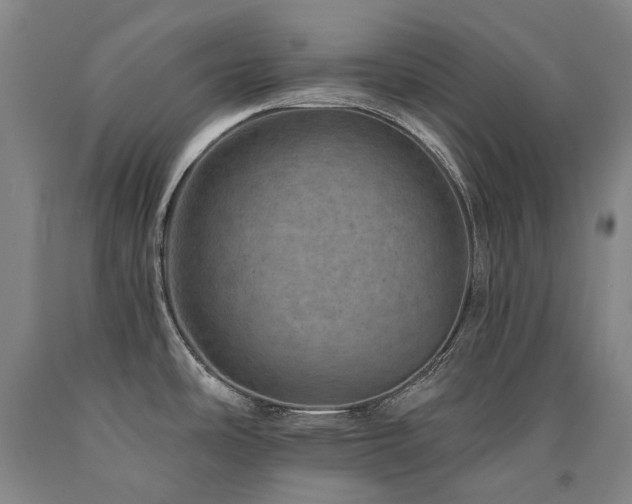 X0000090931486200707301543