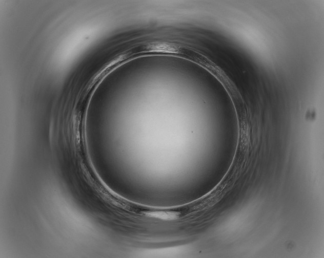 X0000090931487200707301543