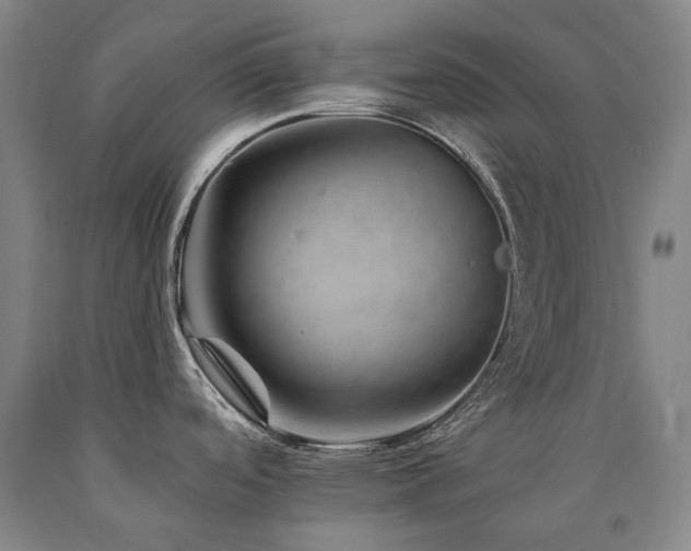X0000090931488200707301543