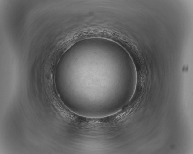 X0000090931489200707301542