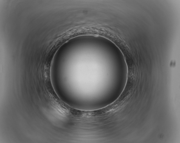 X0000090931490200707301543