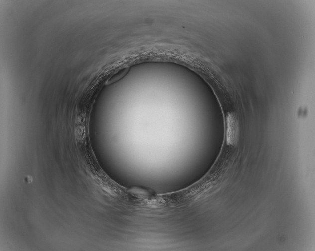 X0000090931491200707301543