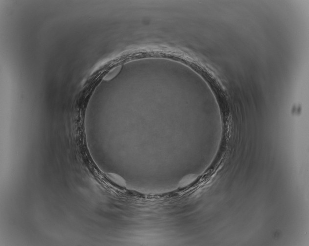 X0000090931494200707301543