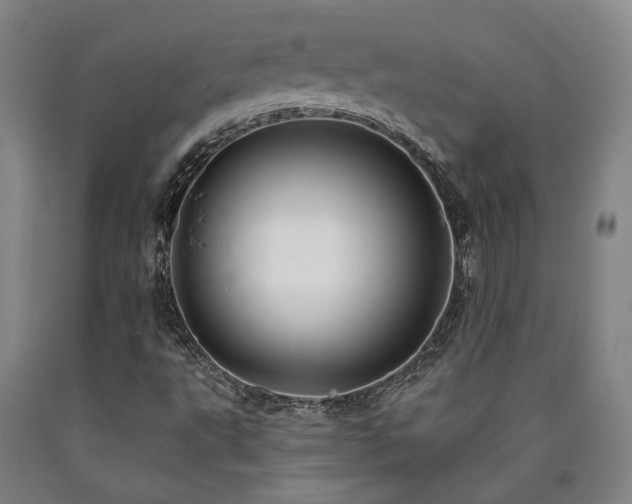 X0000090931495200707301543