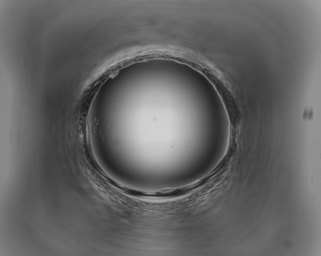 X0000090931496200707301543
