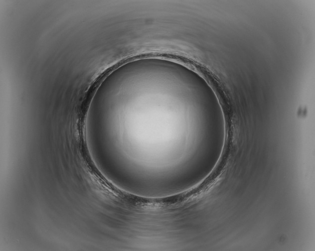 X0000090931497200707301543