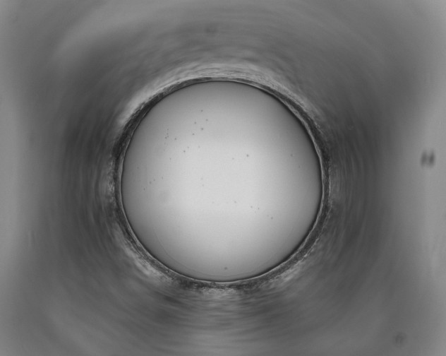 X0000090931498200707301543