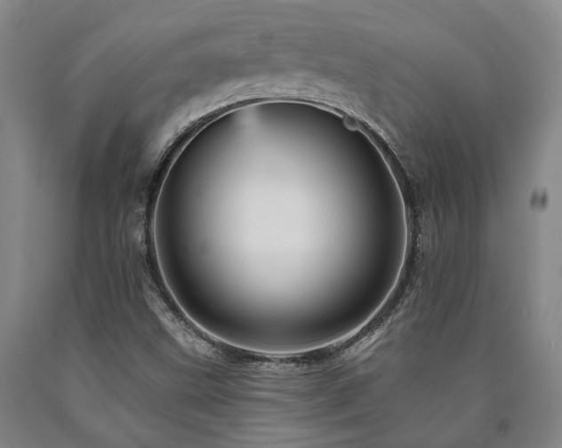 X0000090931499200707301543